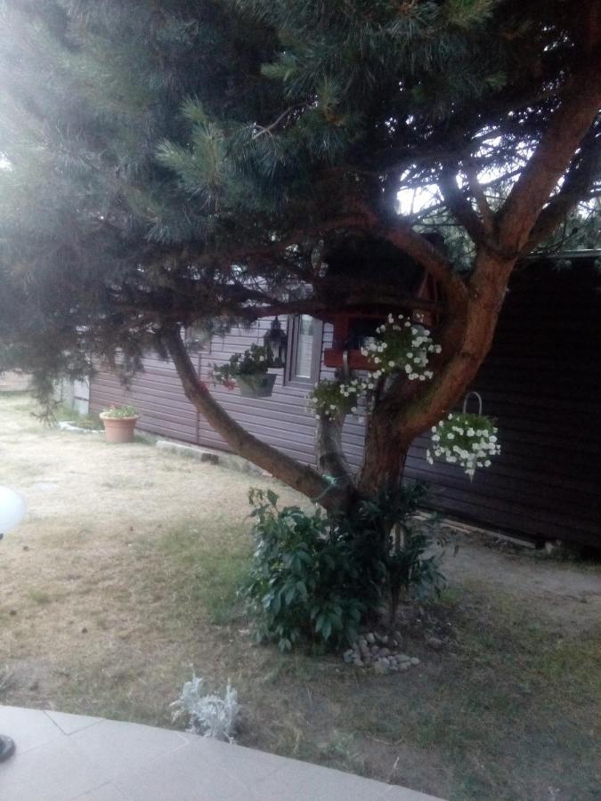 Chabrowa Perla Apartment Jaroslawiec Bagian luar foto